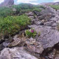 Continental Divide, Parika Lake